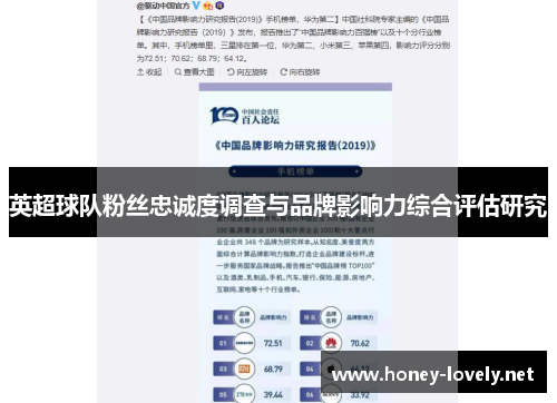 英超球队粉丝忠诚度调查与品牌影响力综合评估研究